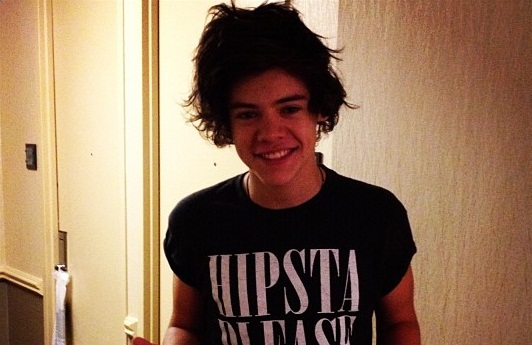 Pacar Baru Harry Styles Muak dengan Taylor Swift