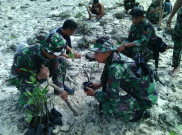 Tim Ekspedisi NKRI Tanam 1.000 Pohon Mangrove di Pesisir Pulau Sika