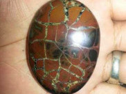 10 Warna Batu Sisik Naga yang Paling Menarik