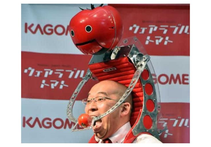 Tomatan, Ransel Robotik Penyedia Tomat