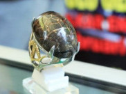 Sisik Naga Bercorak Emas, Langka dan Mahal