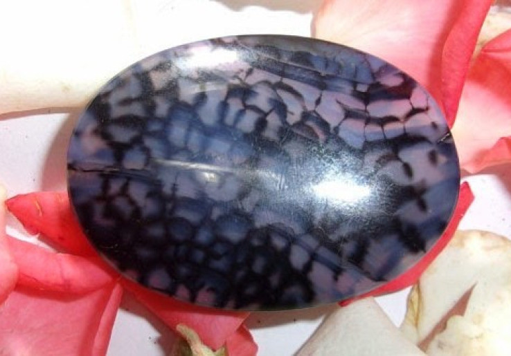 Batu Sisik Naga Hitam, Jenis Mustika Tertua di Indonesia