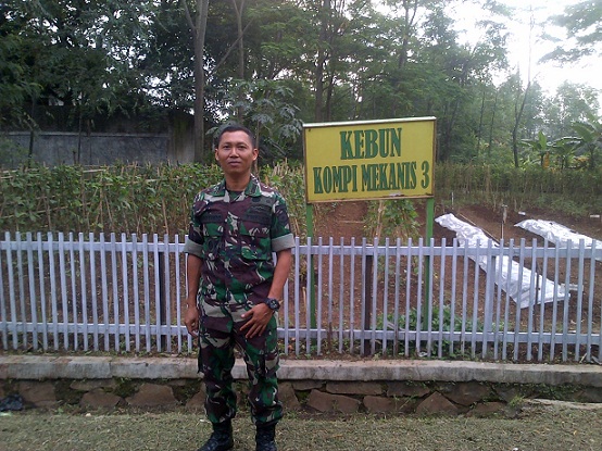 Manfaatkan Lahan Kosong, Yonif Mekanis-203/AK Tanam Sayur dan Buah 