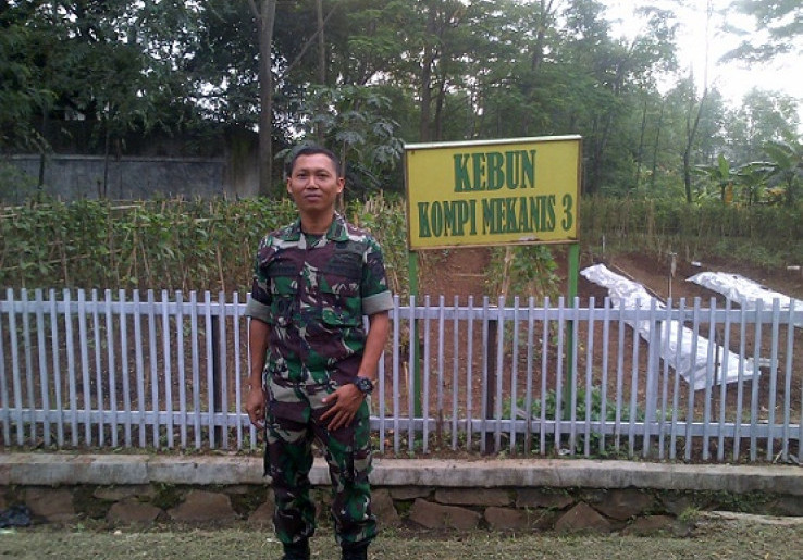 Manfaatkan Lahan Kosong, Yonif Mekanis-203/AK Tanam Sayur dan Buah 