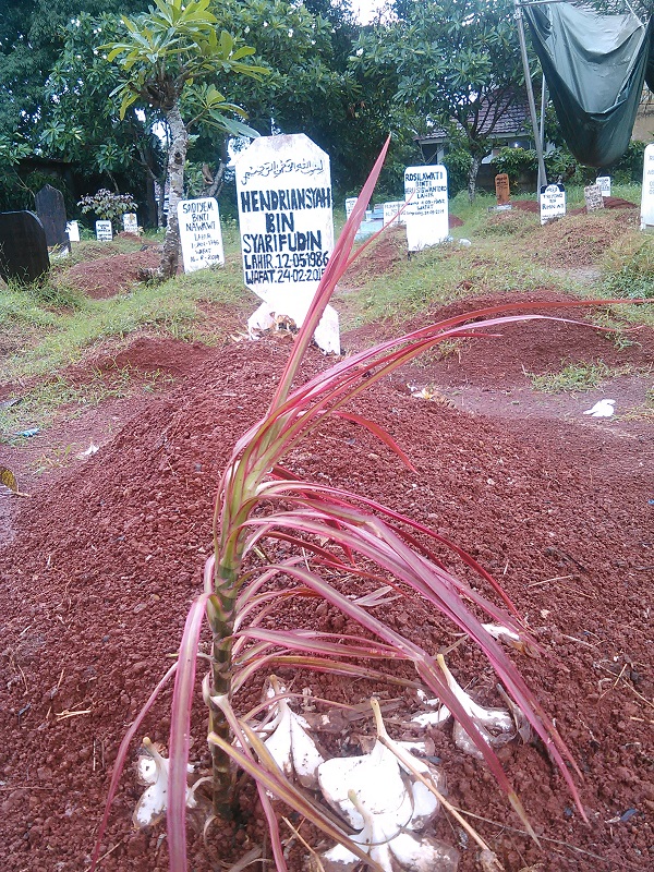 Petir Sambar Makam Begal Panggang