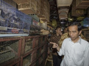 Dukung Pemberantasan Korupsi, PPI Jerman Surati Presiden Joko Widodo