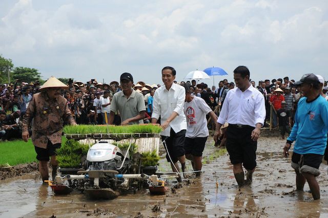 Presiden Jokowi: Pemerintah akan Menaikkan Harga Gabah