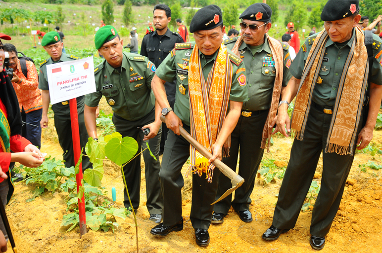 Miliki Nilai Strategis, Panglima TNI Tanam Pohon Kemiri di Perbatasan Kalbar