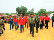 TNI Hijaukan Perbatasan