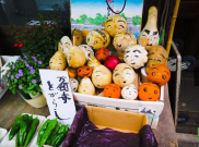 Pasar Nishiki Tempat Wisata Kuliner Asyik di Jepang