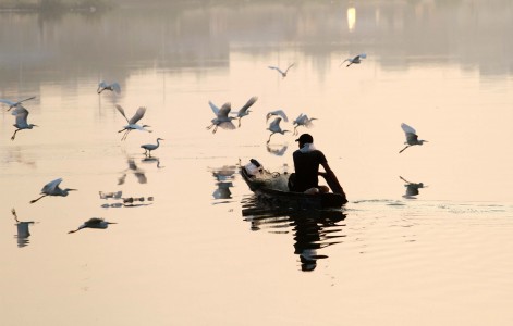 7 Fakta Menakjubkan tentang Kehidupan