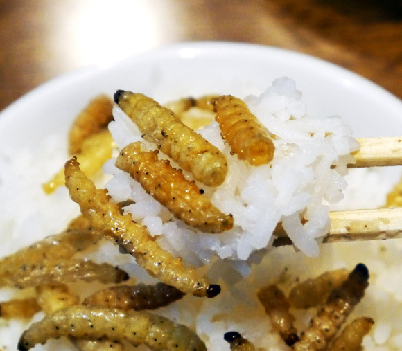 Imomushi, Ulat Goreng Super Gurih