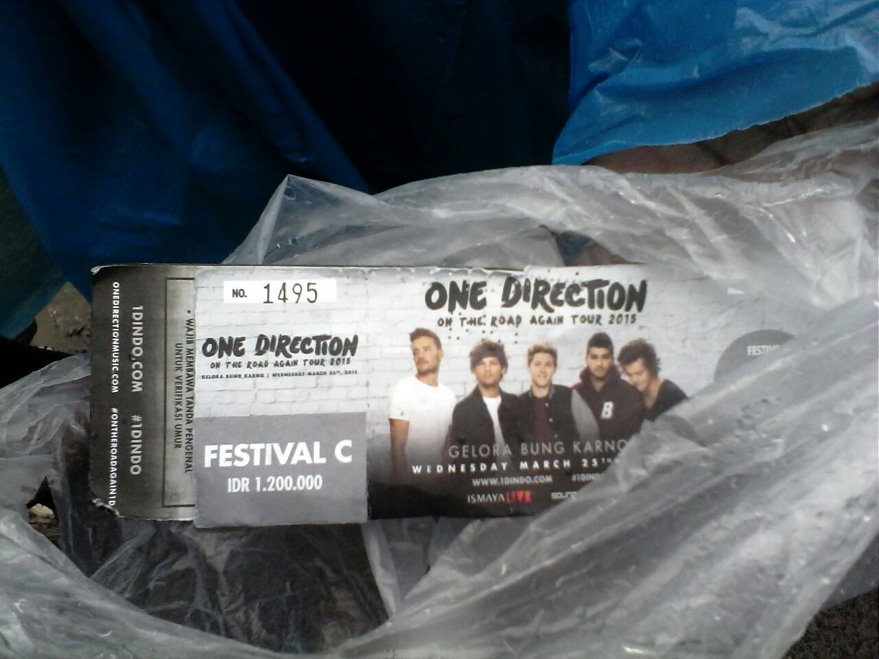 Calo Berkeliaran di Lokasi Konser One Direction