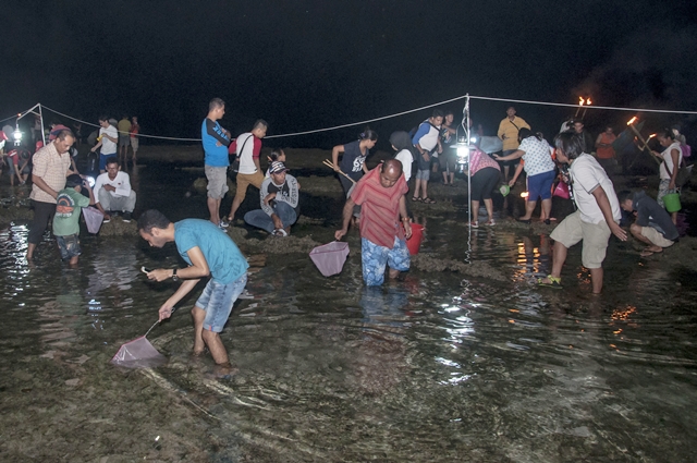 Melihat Lebih Dekat Budaya Timba Laor