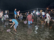 Melihat Lebih Dekat Budaya Timba Laor