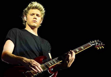 Niall Horan: One Direction Vakum 2016