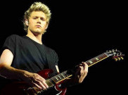 Niall Horan: One Direction Vakum 2016