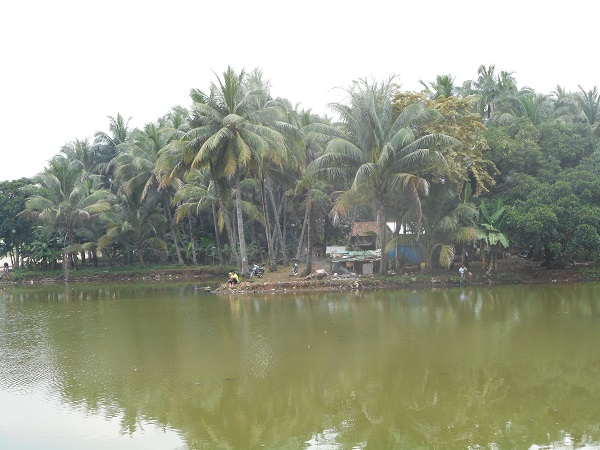 Setu Mangga Bolong dan Mitos Hantu Tanpa Kepala