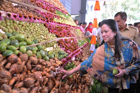Miliki Trah Sukarno, Puan Layak Jabat Waketum PDIP