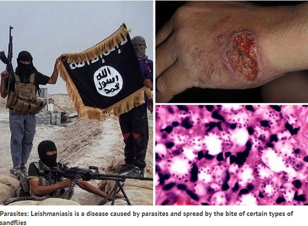 ISIS Dalam Bahaya