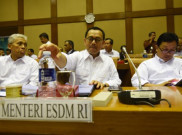 Astaga, Adu Tonjok Terjadi Saat Rapat Kerja di DPR
