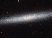 NASA Klaim Bukti Kehidupan Alien