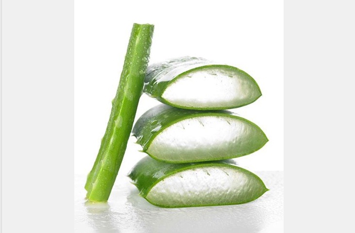 Manfaat Lidah Buaya Bagi Kecantikan Kulit
