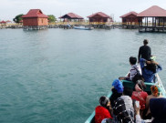 Pulau Cambang-Cambang, Destinasi Wisata Bahari Sulsel