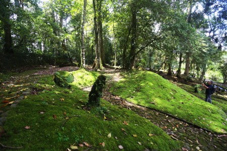 Uniknya Taman Lumut di Kebun Raya Cibodas 