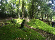 Uniknya Taman Lumut di Kebun Raya Cibodas 