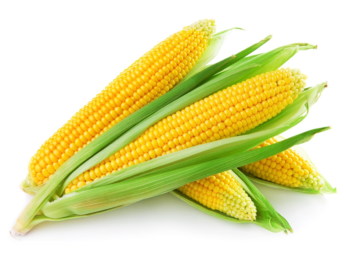 Manfaat Jagung Manis Bagi Kesehatan