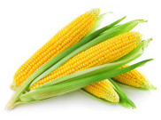 Manfaat Jagung Manis Bagi Kesehatan