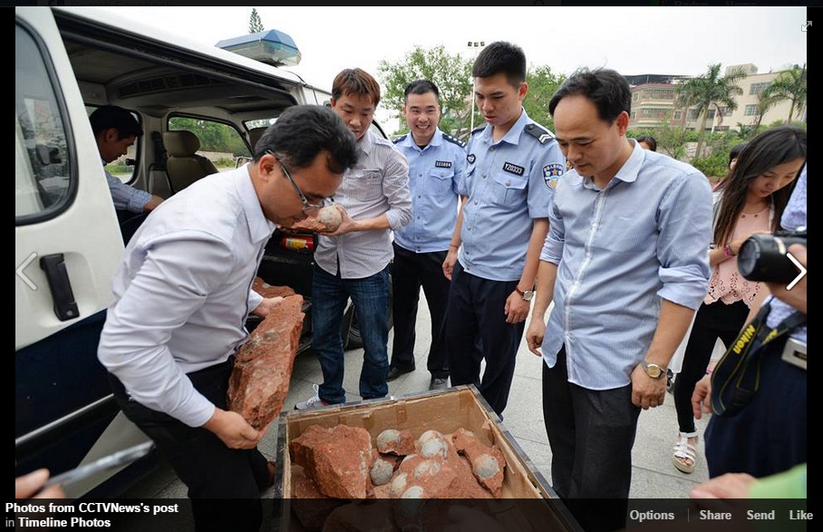 Heboh Puluhan Fosil Telur Dinosaurus Ditemukan di Tiongkok