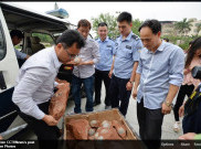 Heboh Puluhan Fosil Telur Dinosaurus Ditemukan di Tiongkok