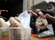 Mabes Polri Berhasil Ungkap Kasus Penyelundupan Trenggiling