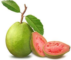 3 Manfaat Daun Jambu Biji untuk Kulit dan Rambut