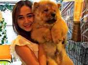 Si Seksi Aura Kasih Ternyata Pecinta Binatang