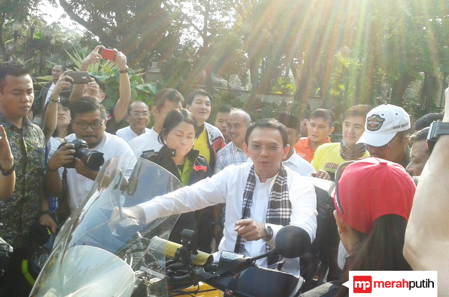Tanggapi Survei Cyrus, Ahok: Itu yang Kita Harapkan