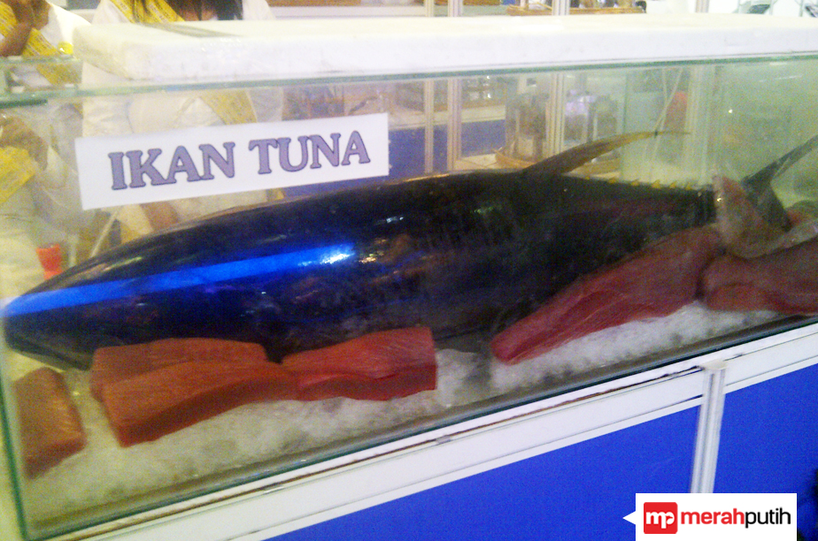 Waw, JI Expo Tawarkan Seekor Ikan Rp2 Juta