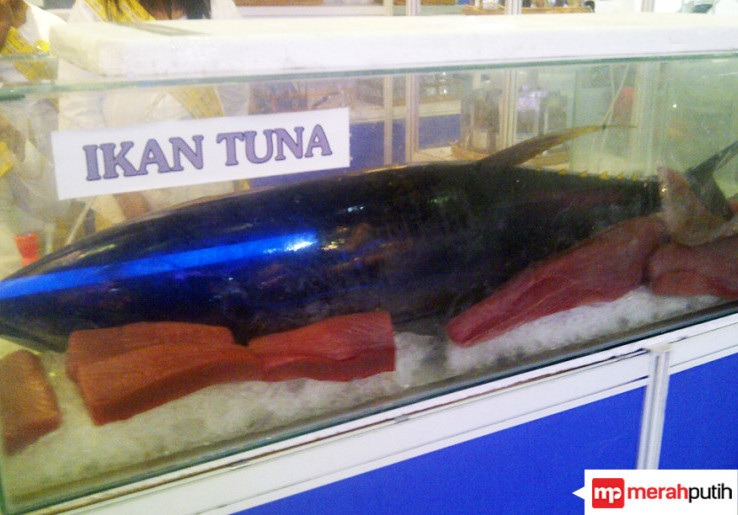 Waw, JI Expo Tawarkan Seekor Ikan Rp2 Juta