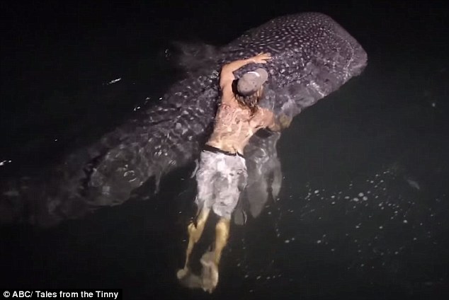 Nelayan Ini Nekat Berenang bersama Hiu Raksasa