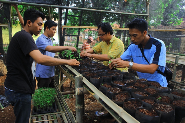 Kebun Bibit Desa IPB Pasok Kebutuhan Pangan Lokal