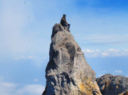 Pemakaman Eri Yunanto Pendaki Merapi