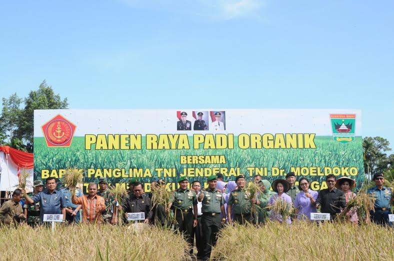 Haram Hukumnya Gunakan TNI untuk Kepentingan Politik