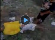 Video Mesum Bocah Ingusan Diduga Dilakukan di Belakang Masjid