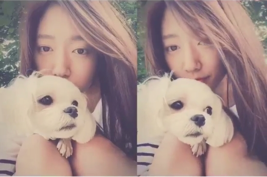 Park Shin Hye Piknik Bersama Anjing Peliharaannya