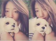 Park Shin Hye Piknik Bersama Anjing Peliharaannya