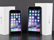 iPhone 6 Alami Blue Screen