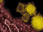 MERS Serang Personel Angkatan Udara Korsel