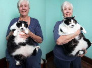 Sprinkles, Kucing Terberat di  Amerika Serikat